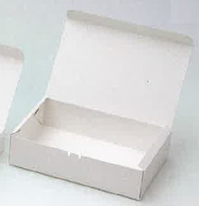 テイクアウト用紙容器　デリメイトＫＷ１７０Ｔ　１ケース（３００入）