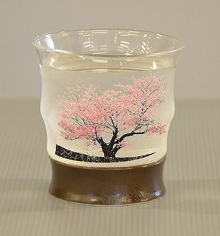 冷水に反応して桜が色づく　満開桜マジックロックグラス