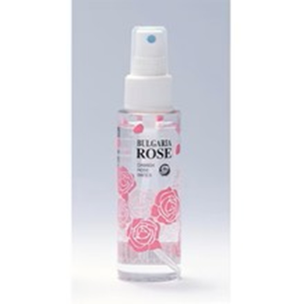 �Ɩ��p �u���K���A���[�Y�E�H�[�^�[�@80����