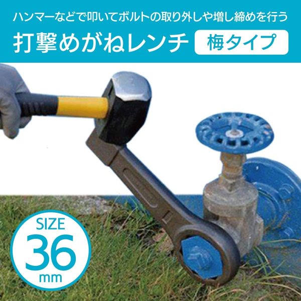 @36mm ENN LLC Kl` ߂˃` Ō` Xpi  {g  Œ xAO