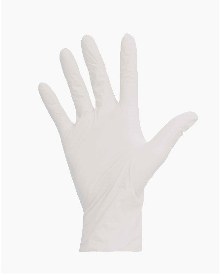 �Ɩ��p �j�g�����o�����[��܁@���@�o�e�@100��