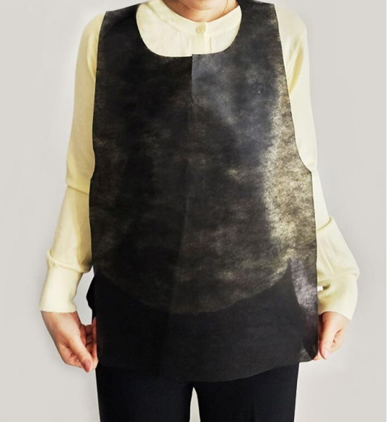 �Ɩ��p �s�D�z�G�v�����@�g���̂ăG�v�����@���@�G�v�����@�P��1000