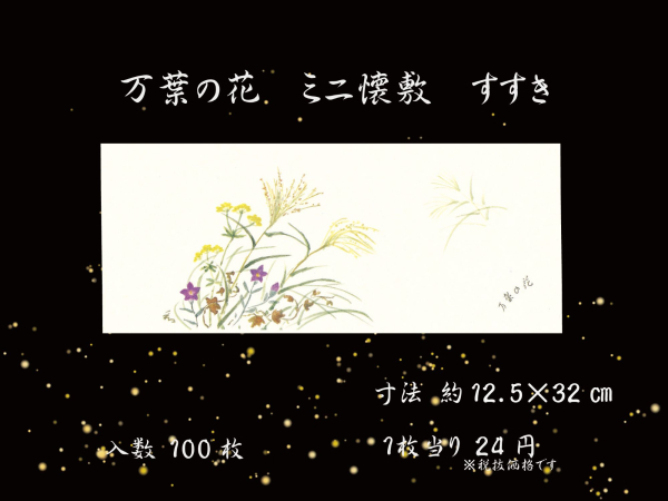 �Ɩ��p ���t�̉ԃ~�j���~�@12.5�~30cm�@�H���@100������@��