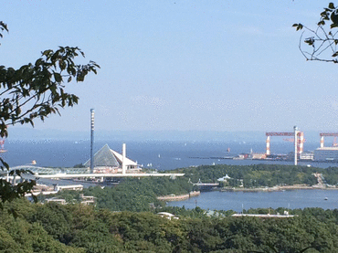 ���] ���ۂ́A�����E�F�C�e��E�H�i�֘A���ށ@���E�̔��Ȃǂ���舵���Ă���܂��B