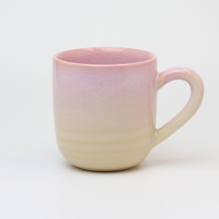 �Ɩ��p ���ā@�}�O�@�ڂݍ�