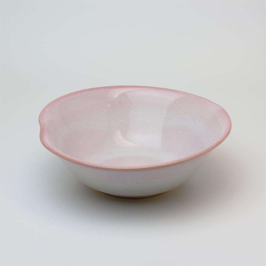 �Ɩ��p ���ā@�ڂݐ���