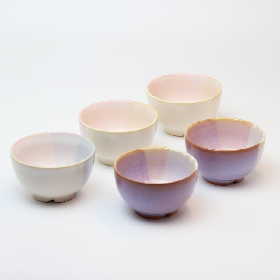 �Ɩ��p ���ā@Shikisai�@�܂ߘq5�q�Z�b�g