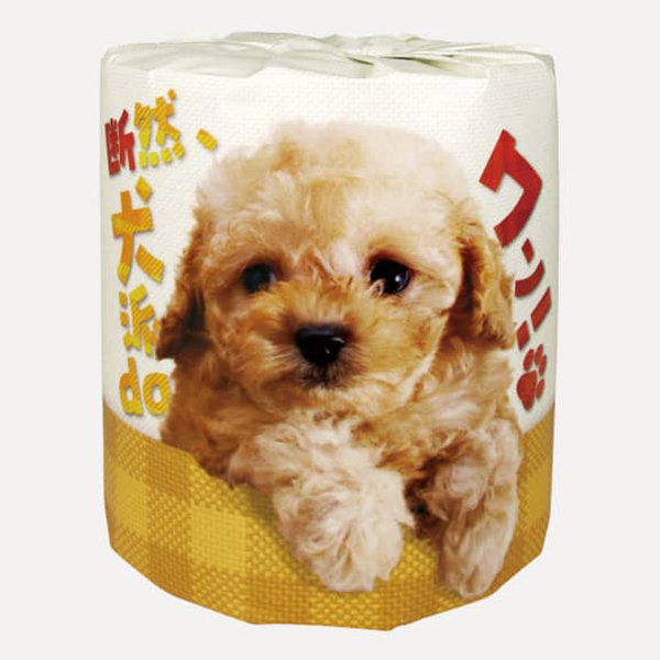 �y���������z�f�R�A���hda�����I 1R �g�C���b�g�y�[�p�[ �P�[�X�̔� �g�C���p�i �C�x���g �΂�܂� �r���S �i�i �̑��i �e�i �m�x���e�B �L�O�i �v���[��