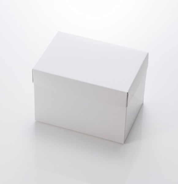 �Ɩ��p ���n�P�[�L��4����     400��