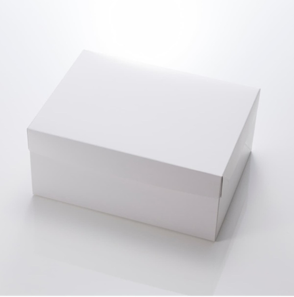 �Ɩ��p ���n�P�[�L��10����    150��