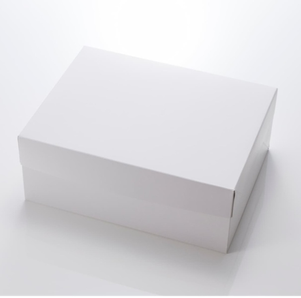 �Ɩ��p ���n�P�[�L��12����     100��