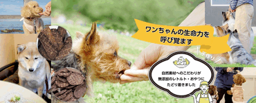 �����E���L�p�̖��Y������@�W�r�G���X�������́A���Y�����g���g�E���Y���t���[�Y�h���C�Ȃǂ���舵���Ă���܂��B