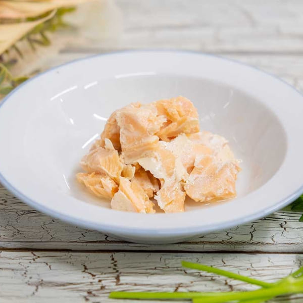 ���̃��g���g100���~50�܁@�����E�L�@���Y���E���R�f�ނ���A�y�b�g�t�[�h�i�ꗬ�u���[�_�[��p�B�j��