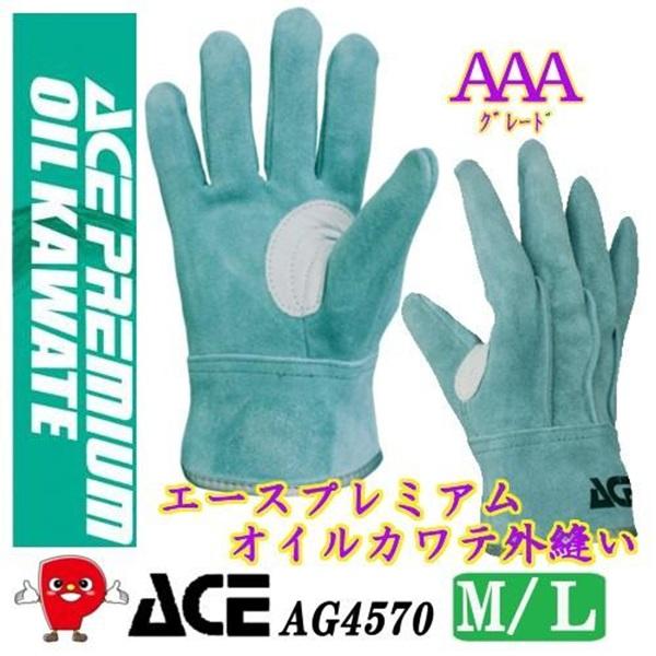 �Ɩ��p �G�[�X�v���~�A���@�I�C���J���e�@�O�D���B�@���K���ƍ���������