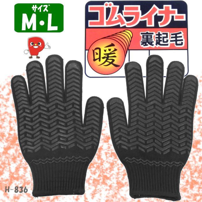 �Ɩ��p �h����܁@HOT�S�����C�i�[�@�q�������g�������r�@���N��