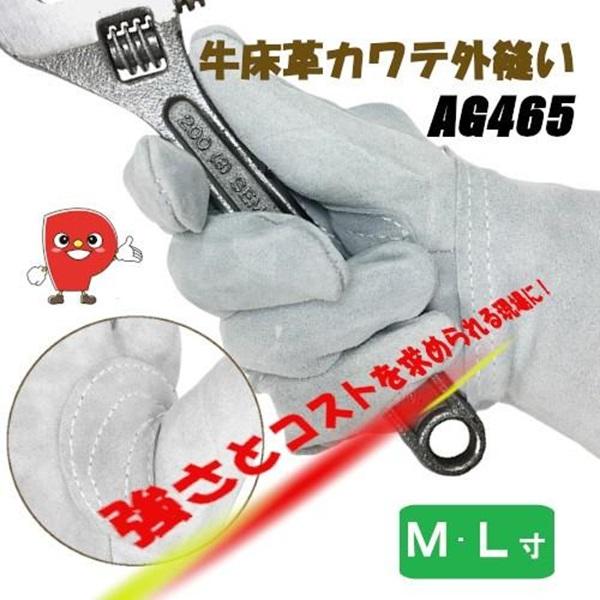 �Ɩ��p �œK�ȕی�Ƒϋv�������˔������`���̊v���