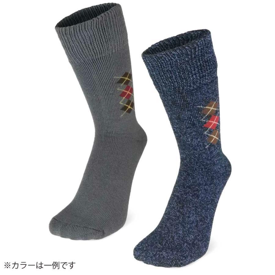 �h���C���@�A�[�K�C�����@��ہ@2���g�@