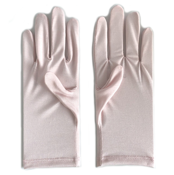 �V���N�O���[�u�@100���@���{���@���f�B�X�p�@