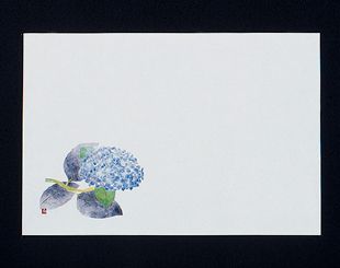 �Ɩ��p 38cm�㎿���}�b�g�@��������