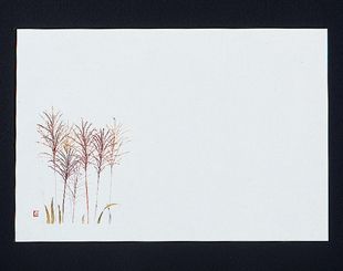 �Ɩ��p 38�p�㎿���}�b�g�@������