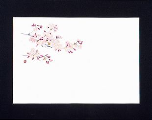 �Ɩ��p 38cm�㎿���}�b�g�@��