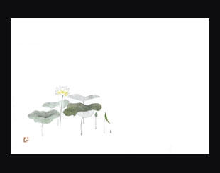 �Ɩ��p 38cm�㎿���}�b�g�@�@�̉ԁi�����p�j