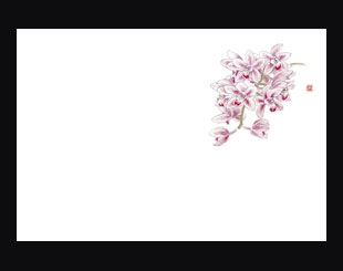 �Ɩ��p 38cm�㎿���}�b�g�@�m�����i�V���r�W�E���j