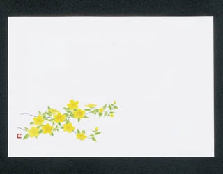 �Ɩ��p 38�p�㎿���}�b�g�@�R��