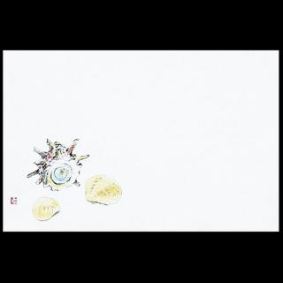 �Ɩ��p 38�p�㎿���}�b�g�@�L