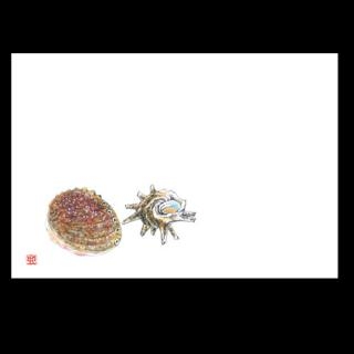 �Ɩ��p 38cm�㎿���}�b�g�@�T�U�G�ƃ��T�r