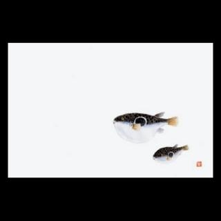 �Ɩ��p 38cm�㎿���}�b�g�@�ӂ�