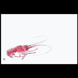 �Ɩ��p 38�p�㎿���}�b�g�@�ɐ��C�V