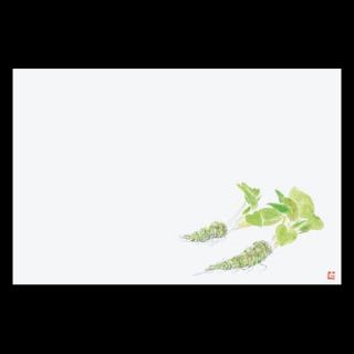 �Ɩ��p 38�p�㎿���}�b�g�@�킳��