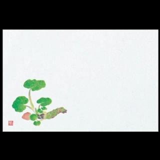 �Ɩ��p 38�p�㎿���}�b�g�@�V�킳��