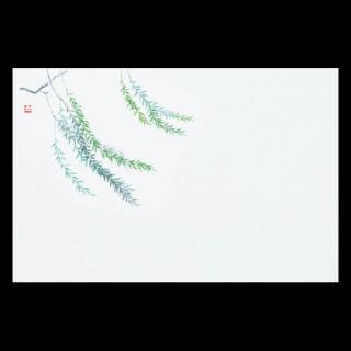 �Ɩ��p 38�p�㎿���}�b�g�@��