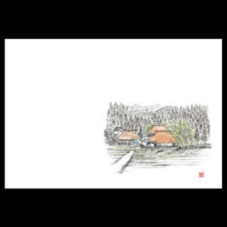 38cm�㎿���}�b�g�@�V�̋�