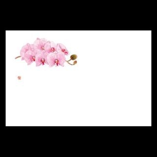 �Ɩ��p 38cm�㎿���}�b�g�@���