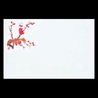 �Ɩ��p 38�p�㎿���}�b�g�@�g�~