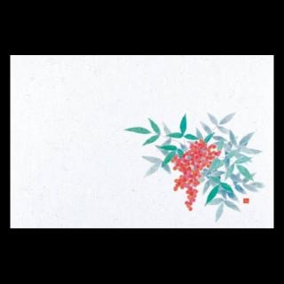 �Ɩ��p 38�p�㎿���}�b�g�@�V��V