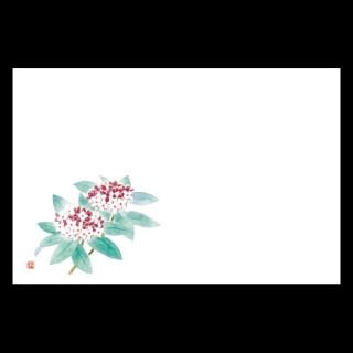 �Ɩ��p 38�p�㎿���}�b�g�@������