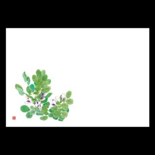 �Ɩ��p 38�p�㎿���}�b�g�@�\���}��