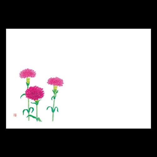 38�p�㎿���}�b�g�@�J�[�l�[�V����