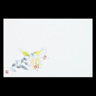 38�p�㎿���}�b�g�@���