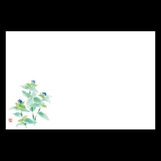 38cm�㎿���}�b�g�@�V�䑐