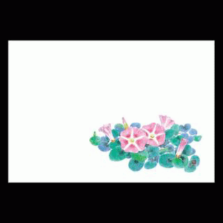 38�p�㎿���}�b�g�@�l����