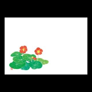 �Ɩ��p 38�p�㎿���}�b�g�@���@��