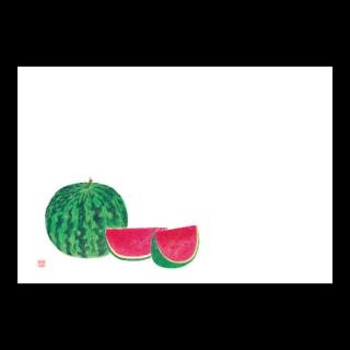 �Ɩ��p 38cm�㎿���}�b�g�@������