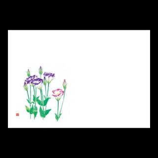 38cm�㎿���}�b�g�@�g���R�L�L���E