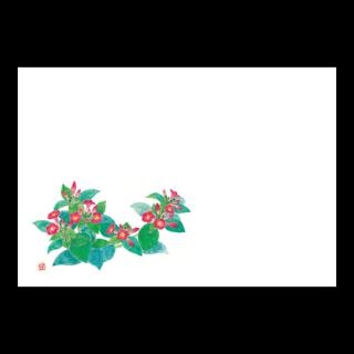 38cm�㎿���}�b�g�@�V�����낢��