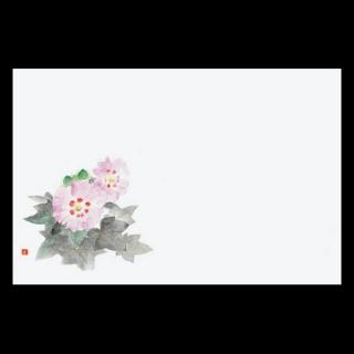 38cm�㎿���}�b�g�@���u